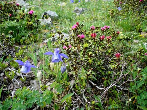 Combe Oursiere (3)