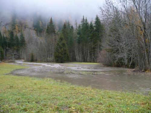 novembre 2011 5
